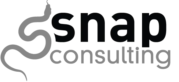 Snap Consulting
