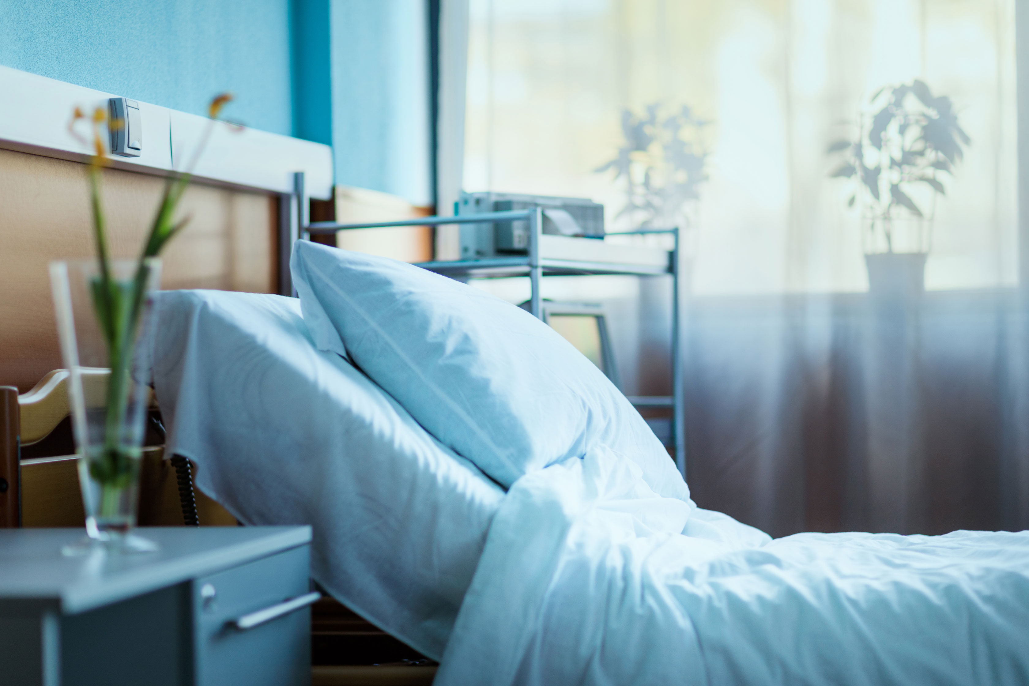 Ein leeres Krankenhausbett mit einer Pflanze am Nachttisch 