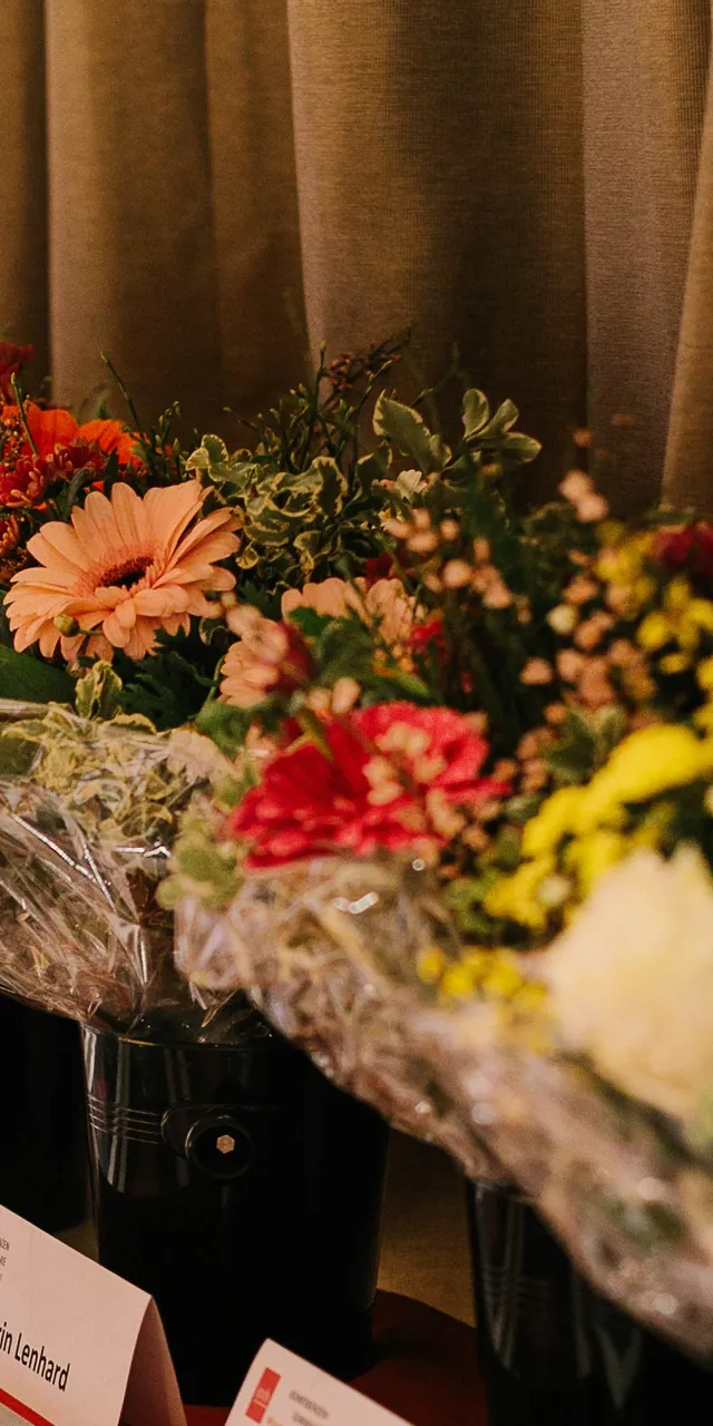 imh-soty-2019-fotocredit-interfoto-2J3A4879.jpg